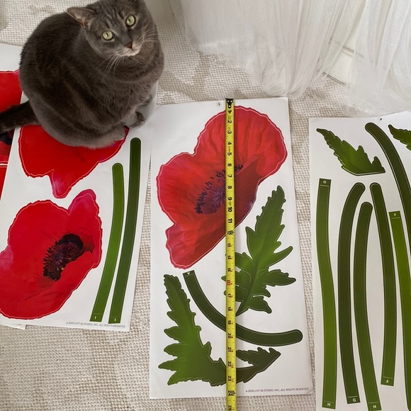 Adhesive Wall Art - Picture 8 of 10